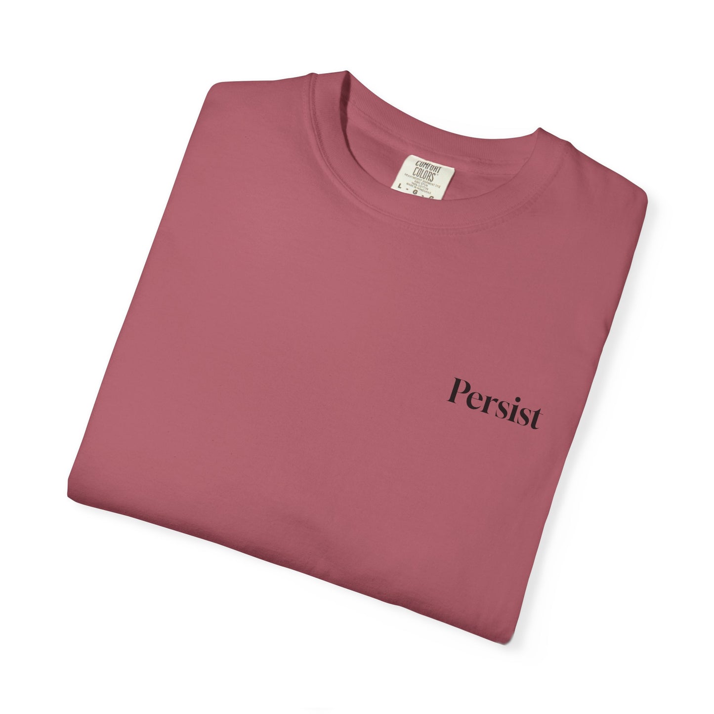 The Power of Words Collection - "Persist" with Mountain Path Unisex Soft-style T-Shirt