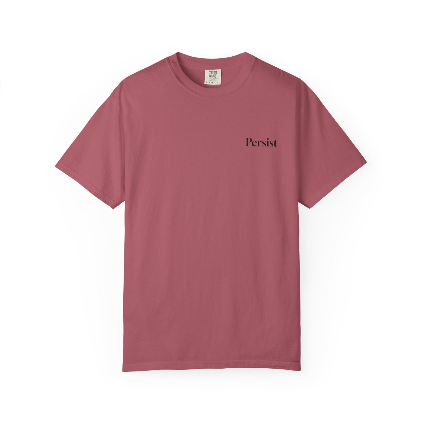 The Power of Words Collection - "Persist" with Mountain Path Unisex Soft-style T-Shirt