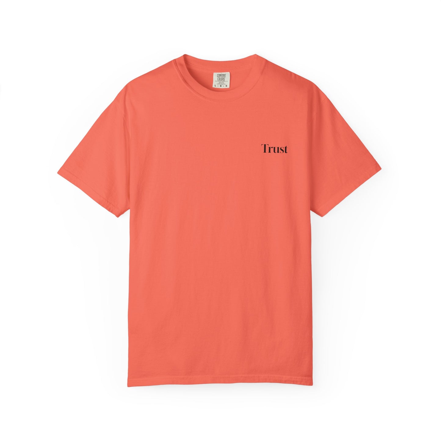 The Power of Words Collection - "Trust" with Birds Unisex Soft-style T-Shirt